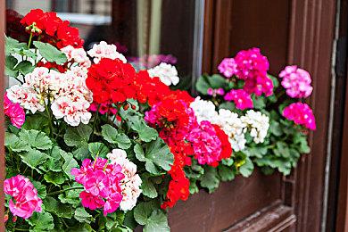 《索尼克起源》在韩国通过评级 游戏年内发售